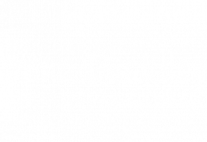vera-bradley-logo white